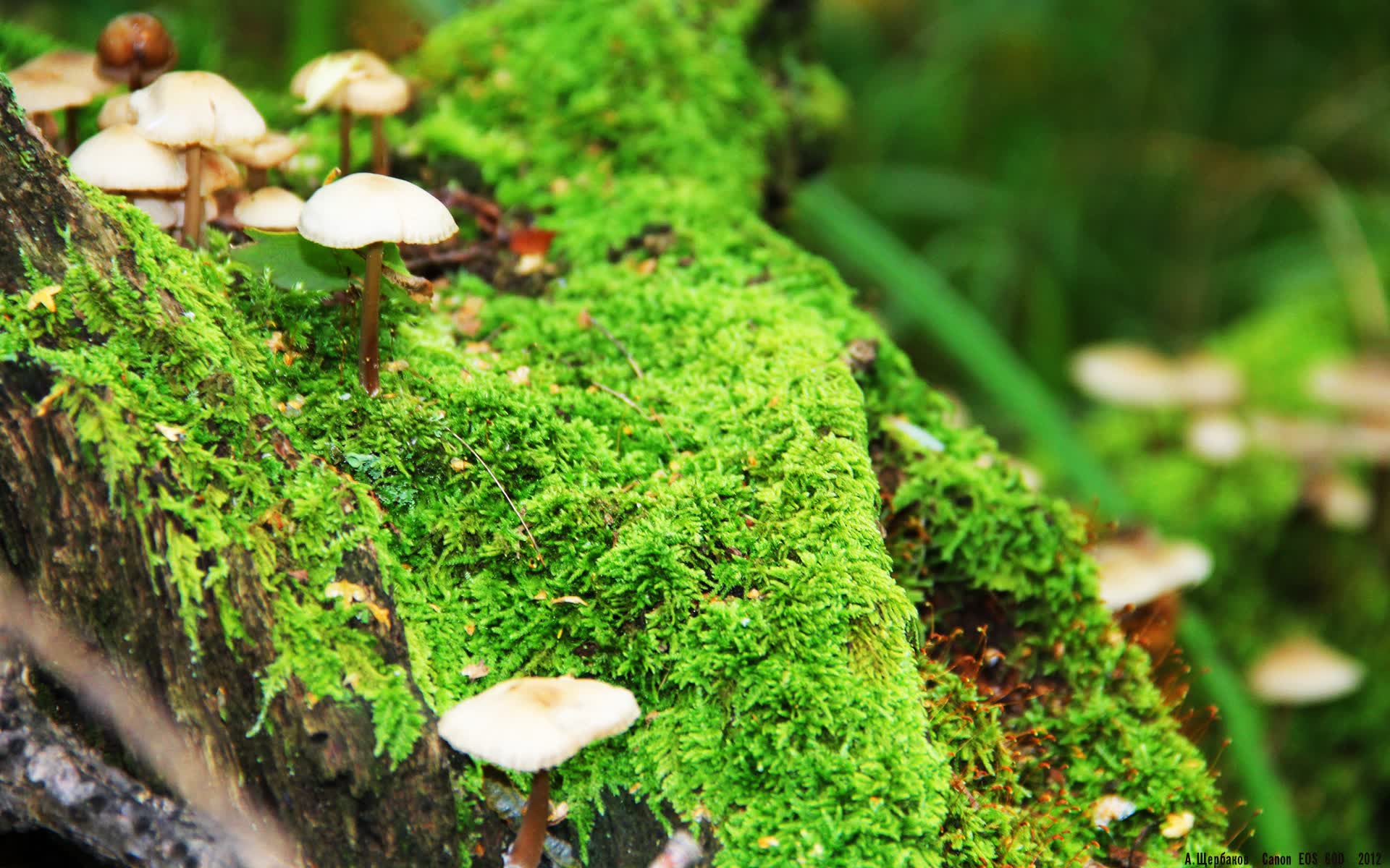 世界帆板革新赛：帆面材料技术获突破，世界帆船帆板锦标赛